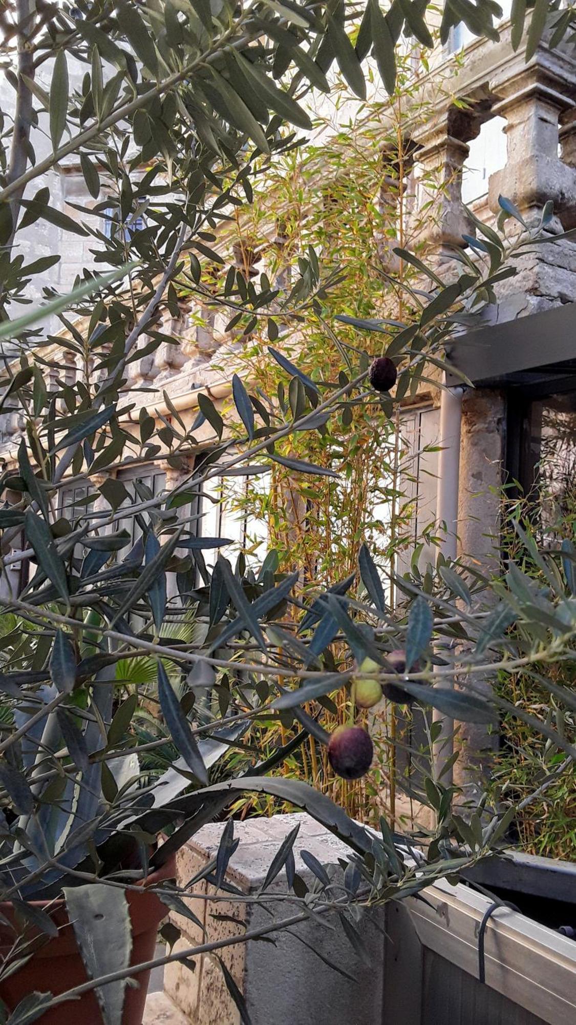 Le Clos Du Rouet Tarascon Exterior photo