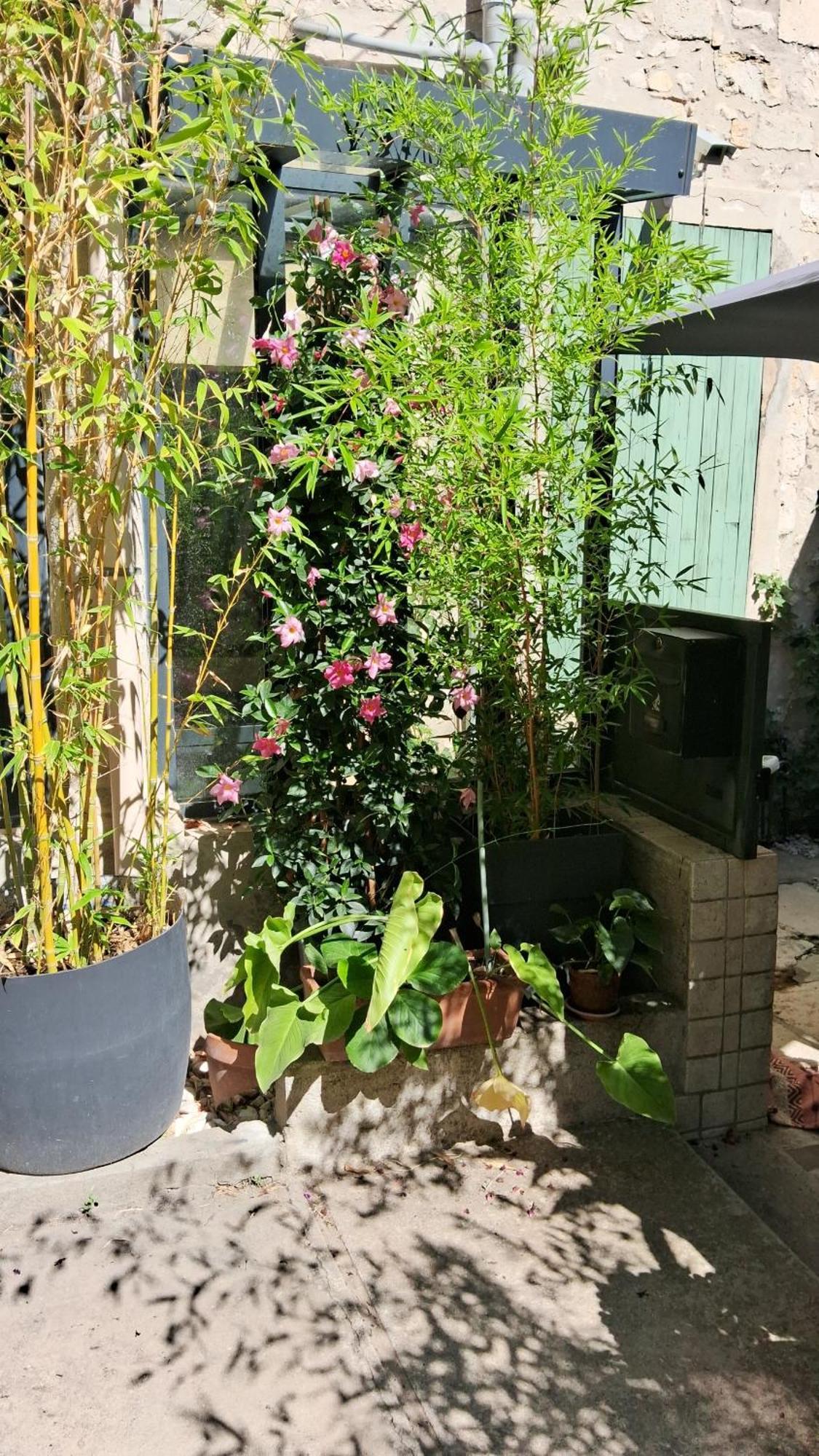 Le Clos Du Rouet Tarascon Exterior photo
